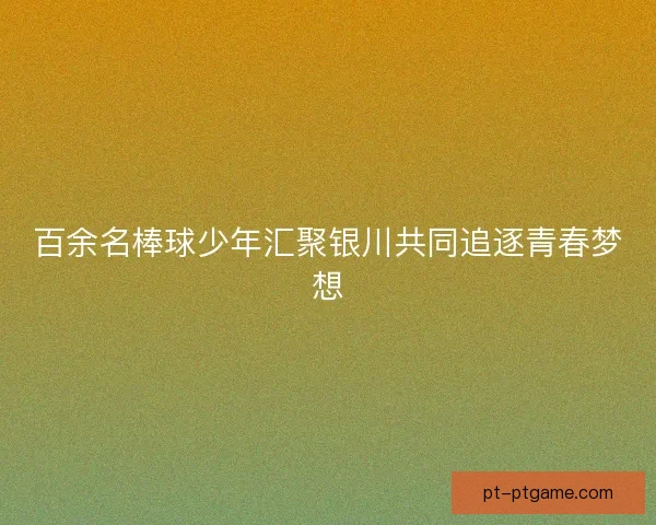 百余名棒球少年汇聚银川共同追逐青春梦想 百余名棒球少年汇聚银川共同追逐青春梦想